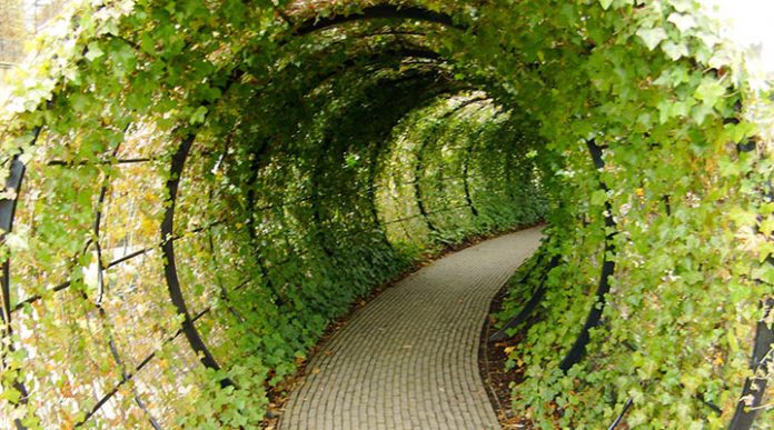 Алнік: унікальний сад, кожна рослина якого хоче вбити вас