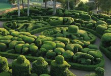 Сад Маркессак: неповторна ландшафтна велич!