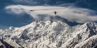На вершине планеты: 10 самых высоких гор в мире