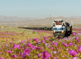 Унікальний природний феномен пустелі Атакама
