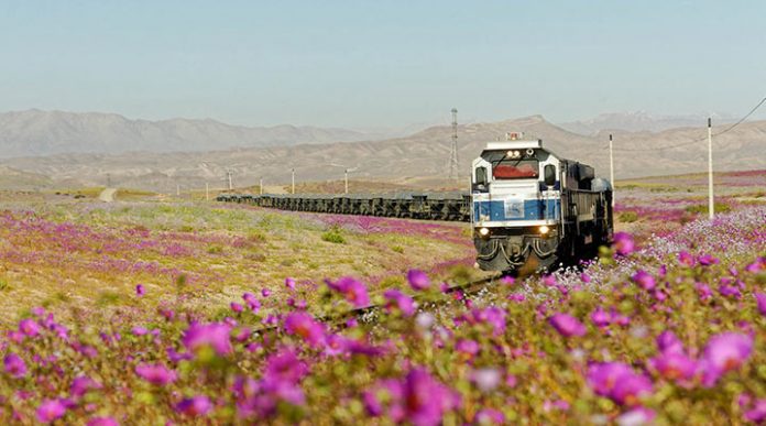 Унікальний природний феномен пустелі Атакама