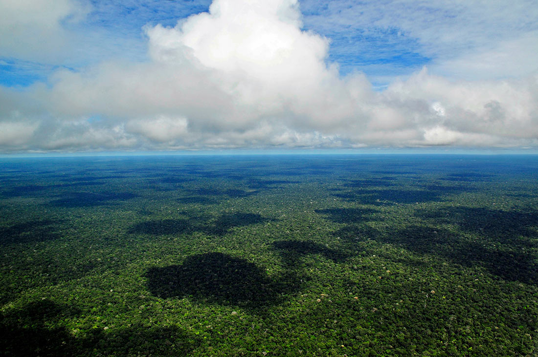 Тропічні ліси Амазонки