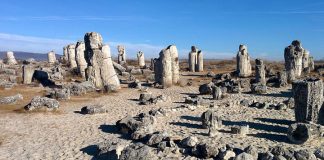 Вбитые камни: доисторический каменный лес в Болгарии
