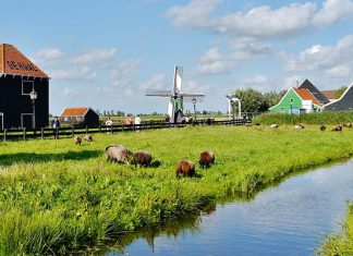 Зансе-Сханс: унікальний музей просто неба в самому серці Голландії