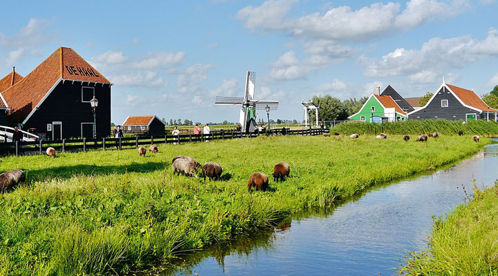 Зансе-Сханс: унікальний музей просто неба в самому серці Голландії