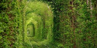 Куди поїхати зі Львова: 15 кращих ідей для подорожі одного дня