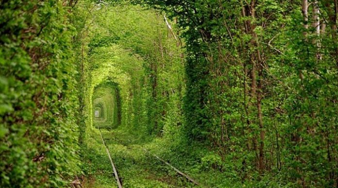 Куди поїхати зі Львова: 15 кращих ідей для подорожі одного дня